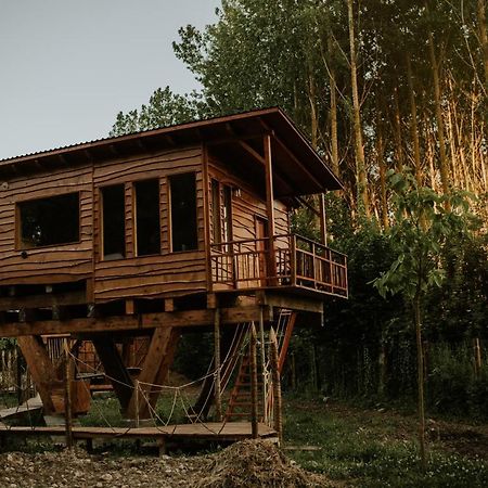 Bonita Cabana De Los Arboles En La Rioja , Durmiendo Entre Arboles Anguciana 외부 사진