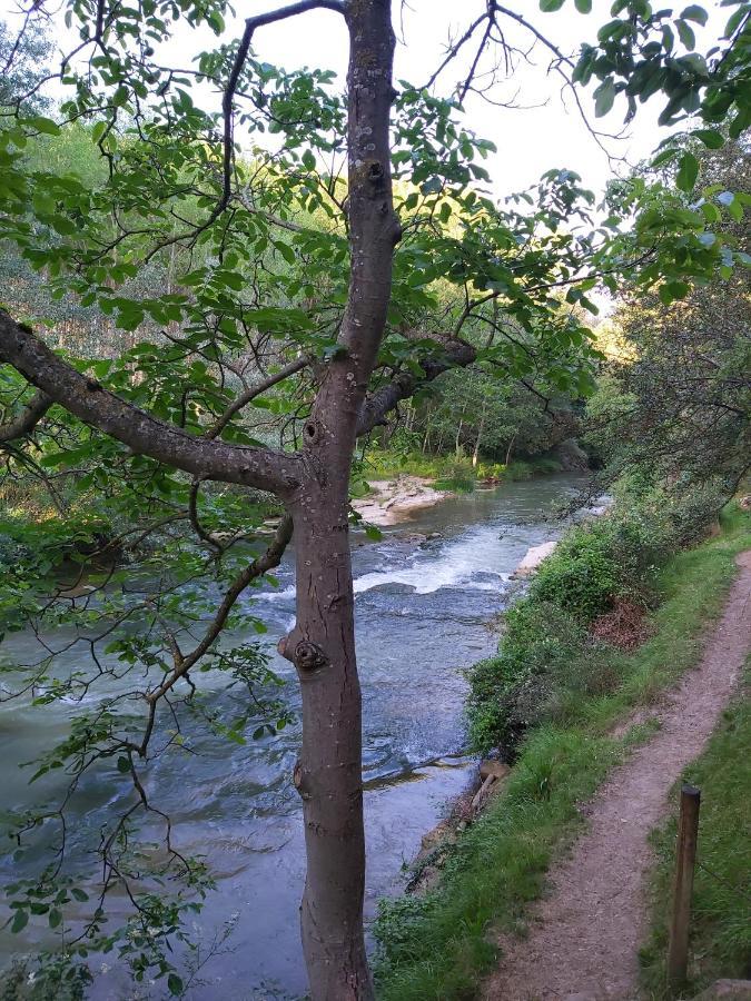 Bonita Cabana De Los Arboles En La Rioja , Durmiendo Entre Arboles Anguciana 외부 사진