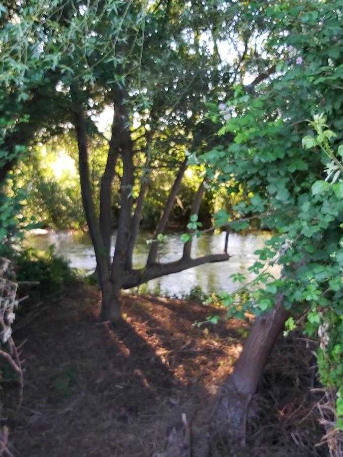 Bonita Cabana De Los Arboles En La Rioja , Durmiendo Entre Arboles Anguciana 외부 사진